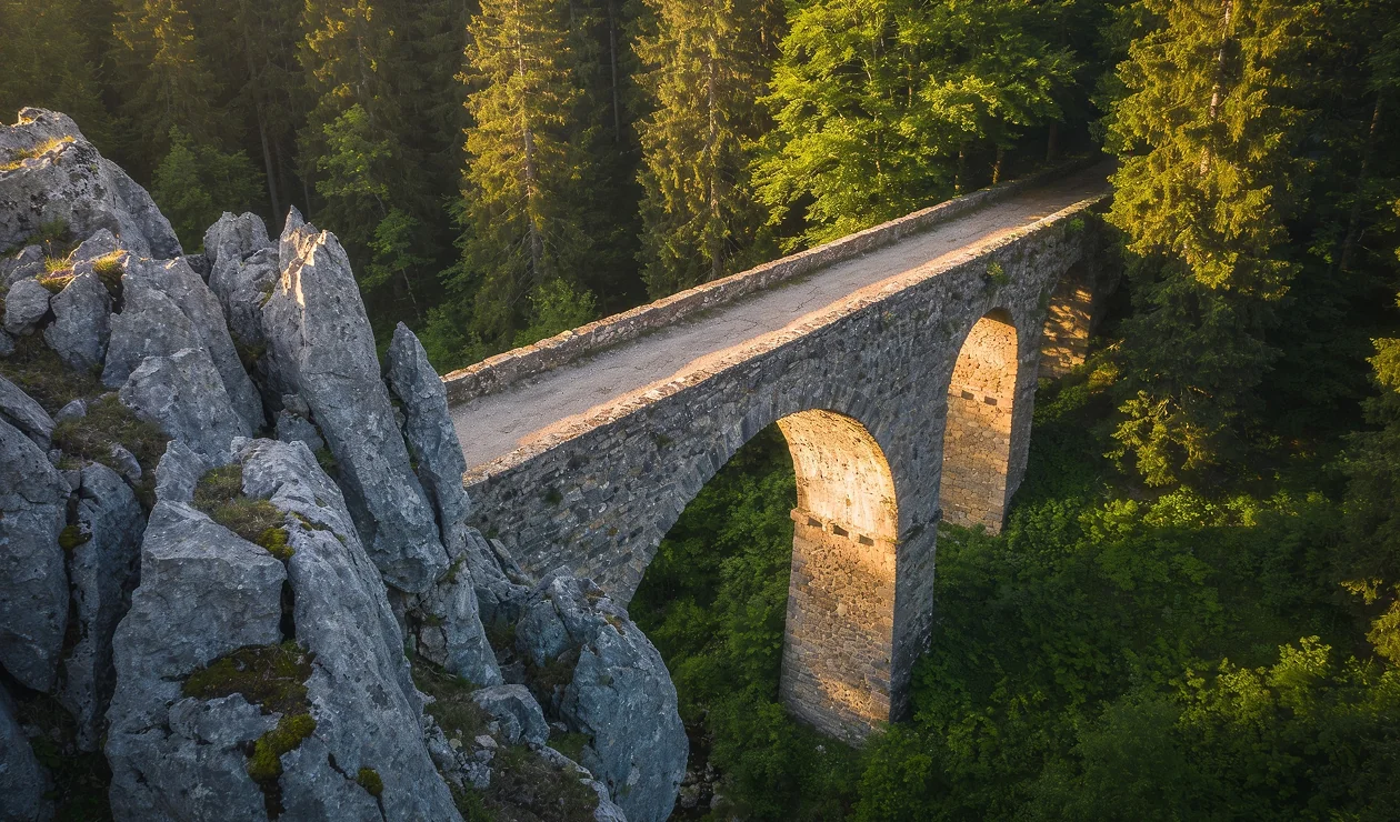 Details image depicting a bridge amidst a dense forest.