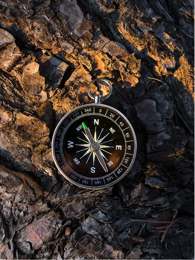 Listing image of a compass against a bark of a tree.