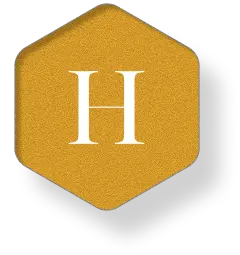 The letter H