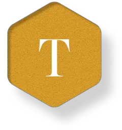 The letter T