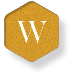The letter W