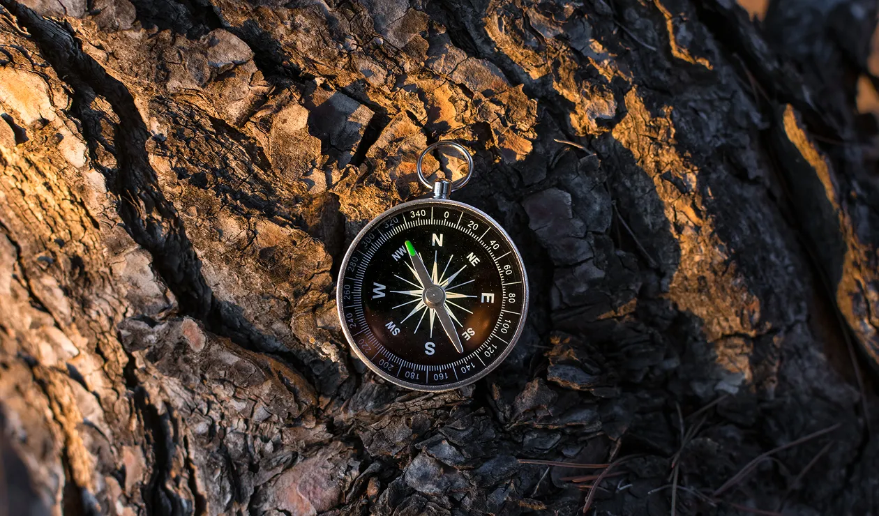 Details image of a compass against a bark of a tree.