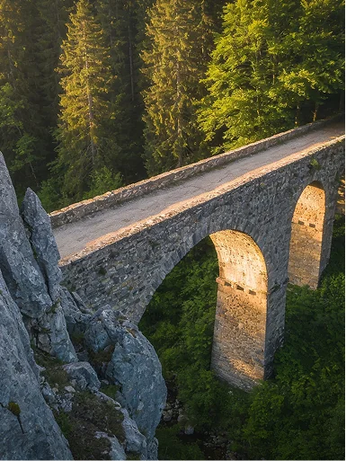 Listing image depicting a bridge amidst a dense forest.